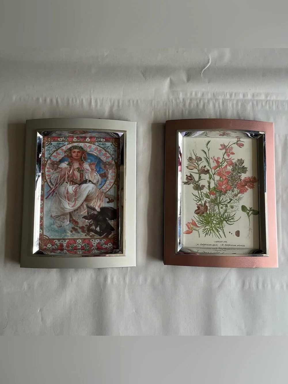 Silver & Rose Tone Resin Picture Photo Frames w/ Fine Art Prints-Set of 2